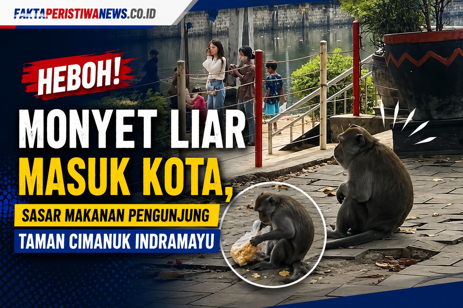 Heboh Monyet Liar Masuk Kota, Sasar Makanan Pengunjung Taman Cimanuk Indramayu