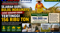 Bulog Indramayu Catat Serapan Gabah Tertinggi 156 Ribu Ton